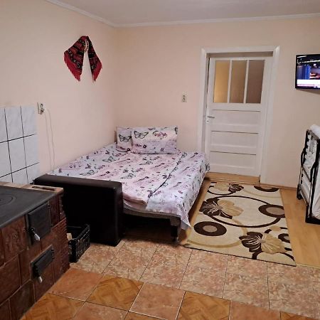 Vila Casa Argentina Cîrţişoara Exteriér fotografie