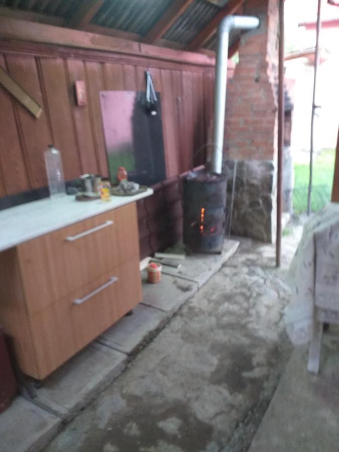 Vila Casa Argentina Cîrţişoara Exteriér fotografie