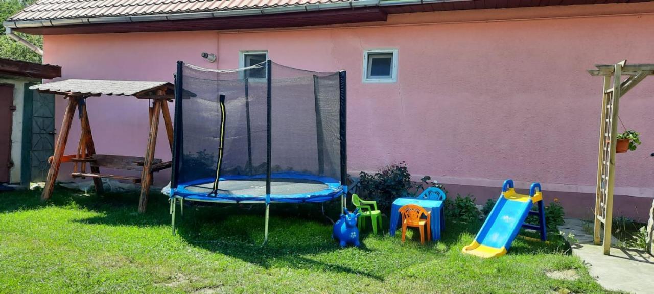 Vila Casa Argentina Cîrţişoara Exteriér fotografie