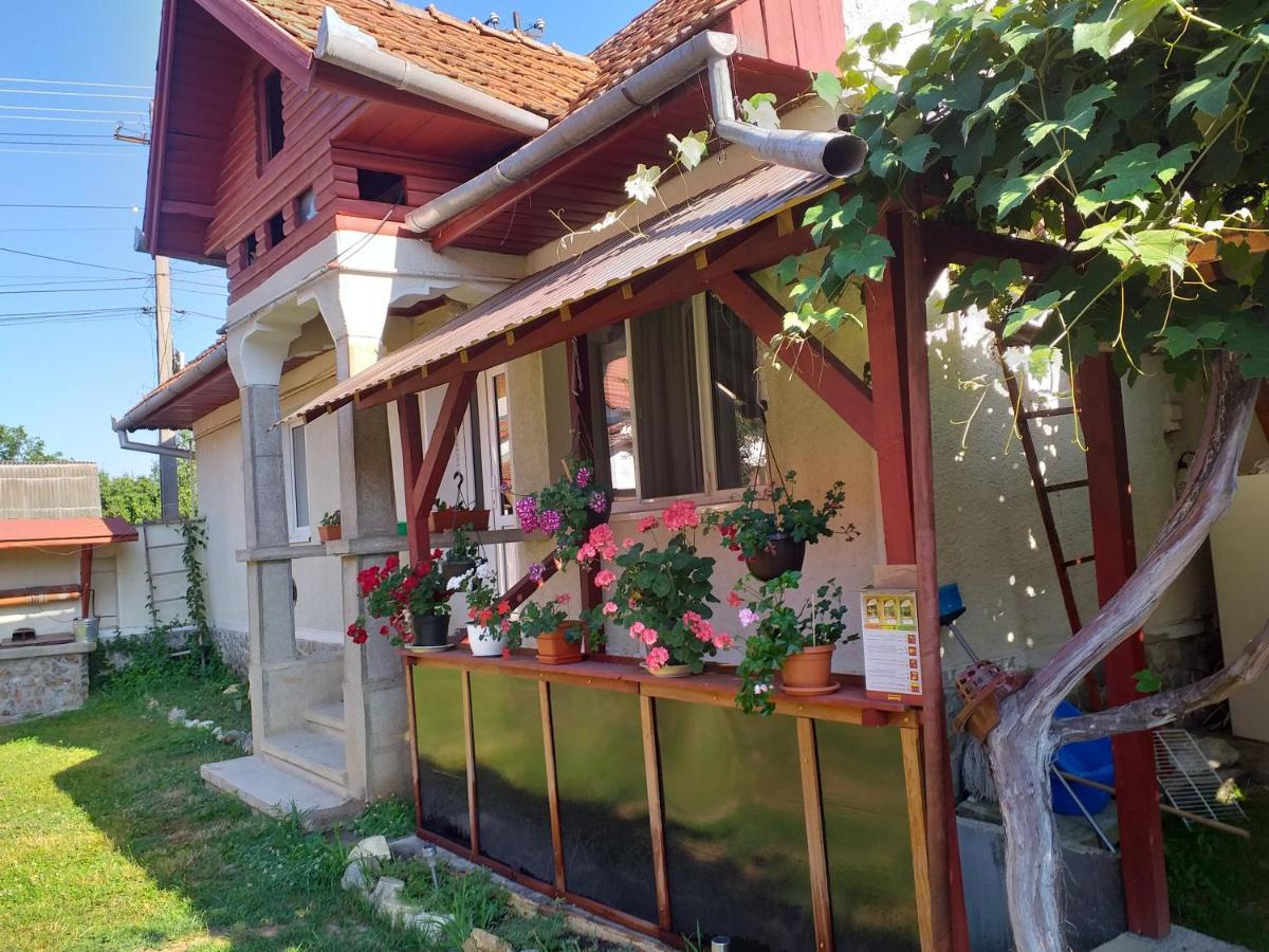 Vila Casa Argentina Cîrţişoara Exteriér fotografie