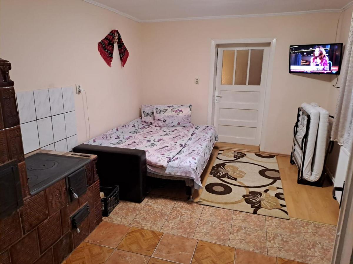 Vila Casa Argentina Cîrţişoara Exteriér fotografie