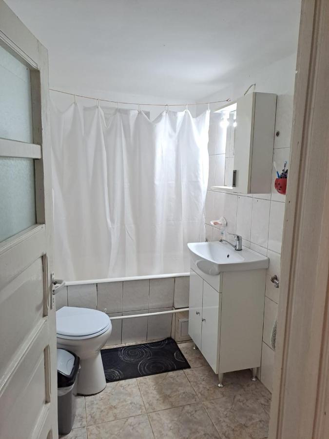 Vila Casa Argentina Cîrţişoara Exteriér fotografie