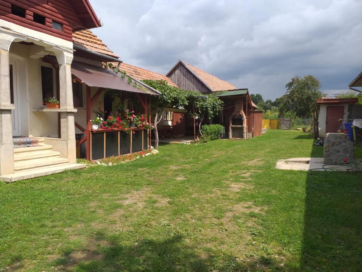 Vila Casa Argentina Cîrţişoara Exteriér fotografie